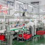 4cae87f38efb372d5bb4a470321116a3