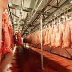 7156263_w640_h640_formex-ltd