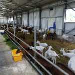 99ed0bdf67d021512f0b3e9f5da59e9a