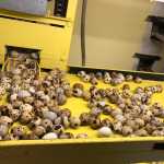 ba849d0bd4fbac1a4658f92c18e3c226