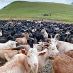 gallery_promo23077777