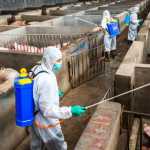 gk-agrop_1566398248.289_main_image