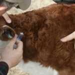 roskache_1566812809.1241_main_image