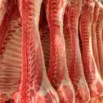 foodnews_1‑1