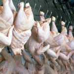 foodnews_4-14