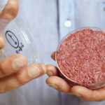 foodnews_05‑1