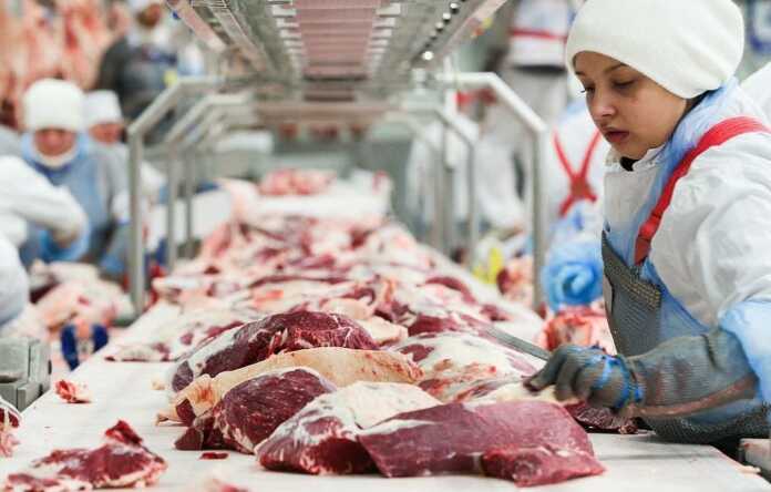 Miratorg meat-processing factory in Bryansk Region, Russia