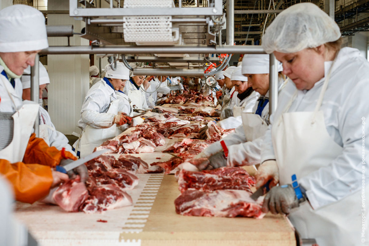 Производители мясных продуктов. Мясоперерабатывающая промышленность. Мясная промышленность. Пищевая промышленность мясная. Производство мясной продукции.