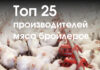 Топ-25 производителей мяса бройлеров в 2022 г.