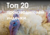 Топ-20 производителей индейки в 2022 г.