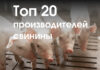 Топ-20 производителей свинины в 2022 г.