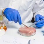 Микропластик в кормах может вызывать патологические изменения у кур и накапливается в мясе