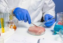 Микропластик в кормах может вызывать патологические изменения у кур и накапливается в мясе