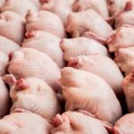 За 11 месяцев Россия экспортировала более 400 тыс. тонн мяса птицы