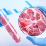 Венгрия запретила производство и продажу «искусственного мяса», выращенного в лабораториях