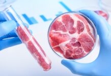Венгрия запретила производство и продажу «искусственного мяса», выращенного в лабораториях