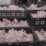 В январе – сентябре Россия увеличила экспорт мяса птицы на 18%
