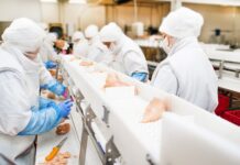 «Агросила» вкладывает более 1,15 млрд рублей в развитие Пермской птицефабрики