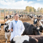 Минсельхоз РФ: цифровые технологии в животноводстве стали массовыми