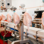 Производство индейки в России продолжит расти – эксперт