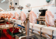 Производство индейки в России продолжит расти – эксперт