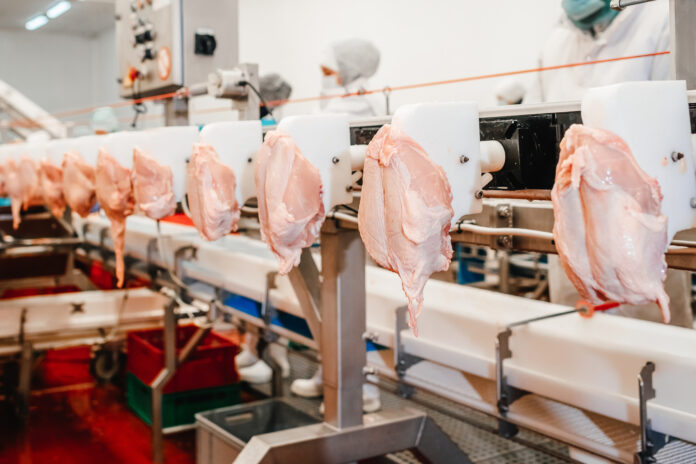 Meat processing plant.Chicken fillet production line .Automated production line in modern food factory.Conveyor Belt Food.Modern poultry processing plant.