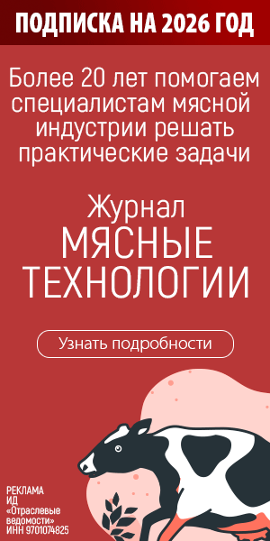 Большой баннер 300х600