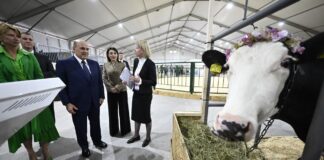 Племенные свидетельства и разрешения на импорт будут выдавать через единое окно с марта 2026 года