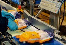 ГК «Дамате» начала экспорт утки в Того и ЦАР