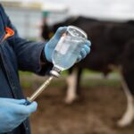 Минсельхоз России оценивает создание моделей прогнозирования эпизоотических рисков