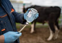 Минсельхоз России оценивает создание моделей прогнозирования эпизоотических рисков