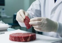 Более 17 тонн говядины из Ивановской области проверили на качество