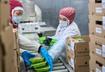 Группа «ПРОДО» сохраняет статус лидера по продажам продукции для гриля