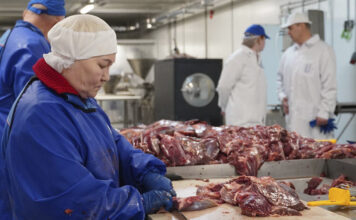 Пищекомбинат «Полярный» приступил к переработке свежей оленины