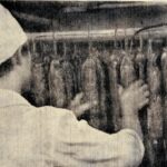 История в газетных строчках: Как в Березнике Виноградовского округа колбасу делали
