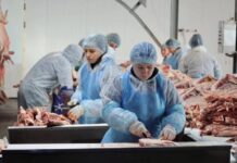 Мясопереработка в Астраханской области набирает обороты