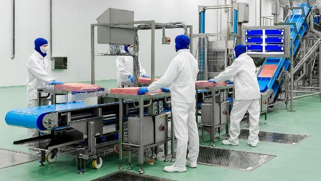 iesnjidodvsazgl9595y692yfgxpt1tl