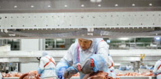 «Мираторг-Курск» успешно прошел аудит по международной системе пищевой безопасности FSSC 22000 v.6