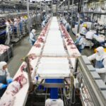 В 2025 году группа АГРОЭКО увеличила экспорт свинины почти на 7%