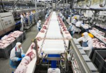 В 2025 году группа АГРОЭКО увеличила экспорт свинины почти на 7%