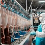 Тюменская область: птицефабрика «ПРОДО» подтвердила соответствие FSSC 22000 v.6