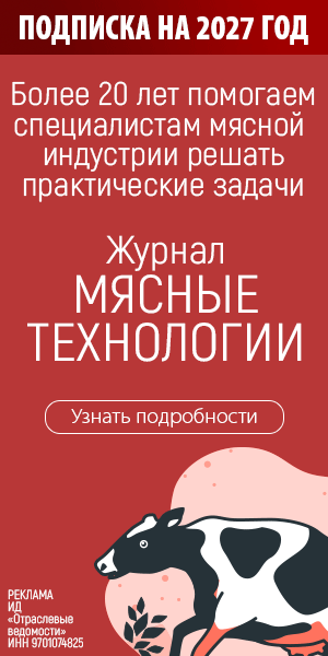 Большой баннер 300х600